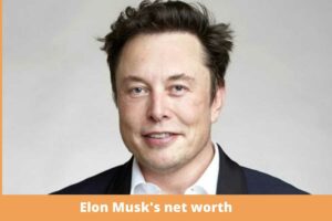 Elon Musk's net worth