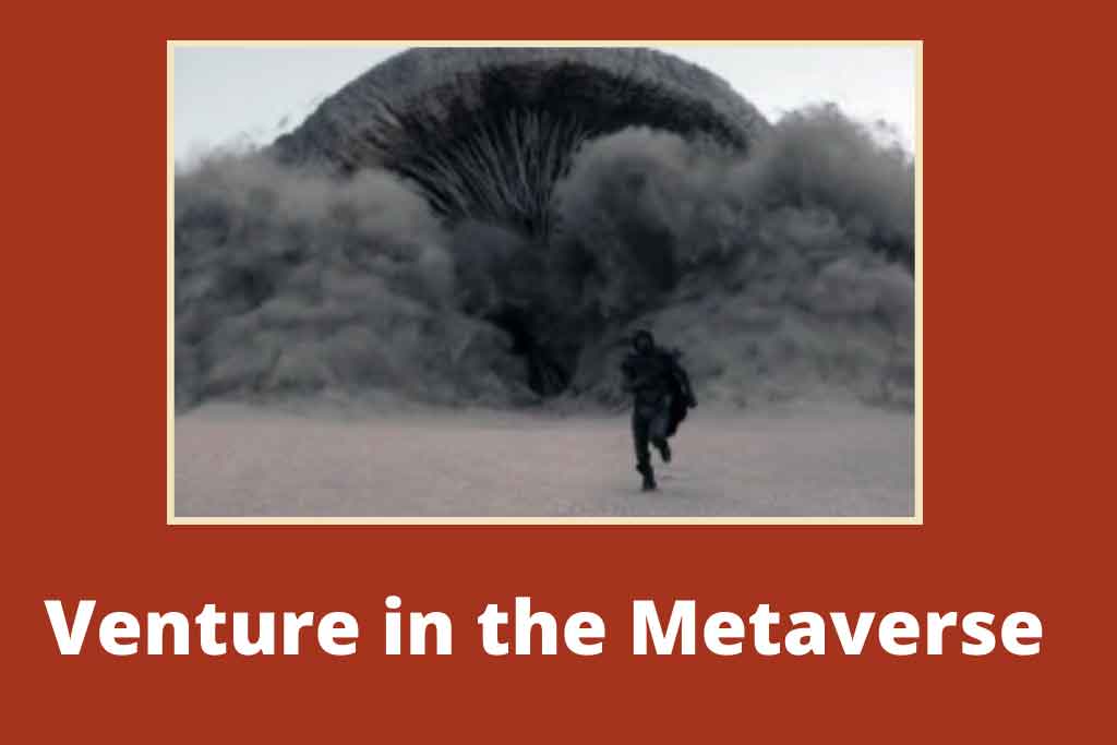 Venture in the Metaverse