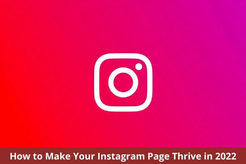 How to Make Your Instagram Page Thrive in 2022