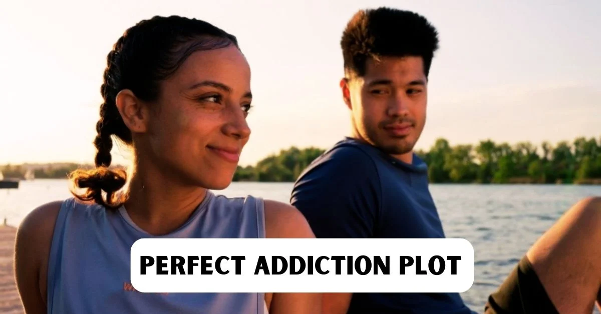 Perfect Addiction Plot