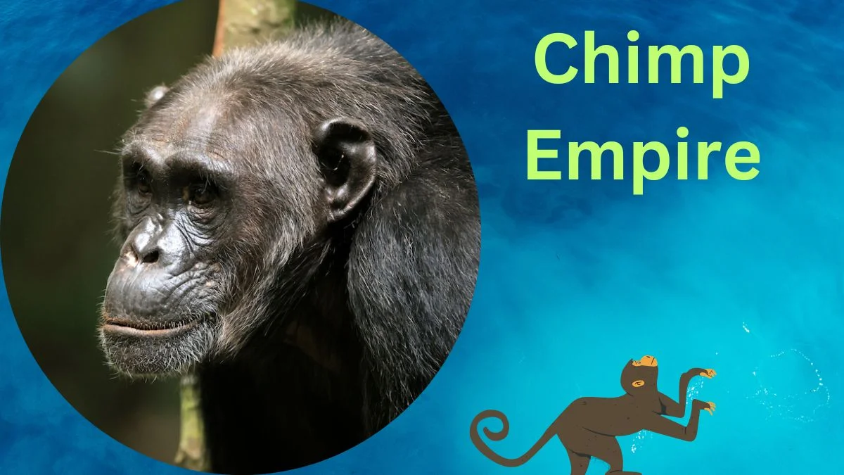 Where to Watch Chimp Empire