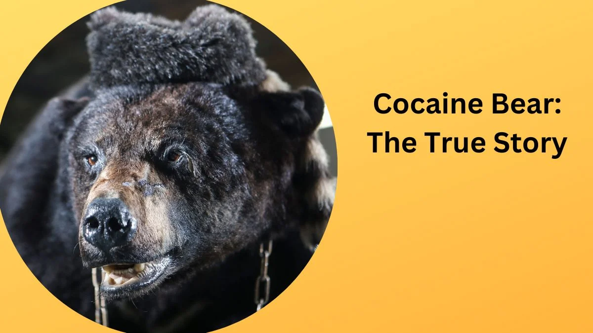 Cocaine Bear: The True Story