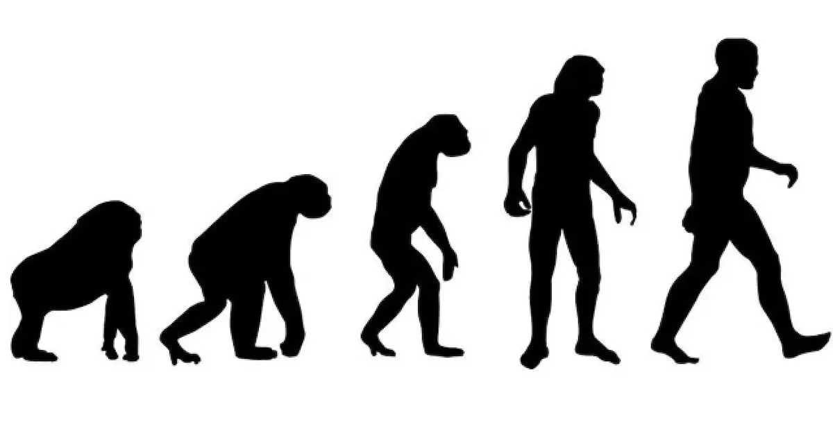 A Fresh Theory About the Origins of Homo Sapiens