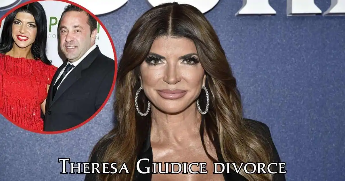 Theresa Giudice divorc