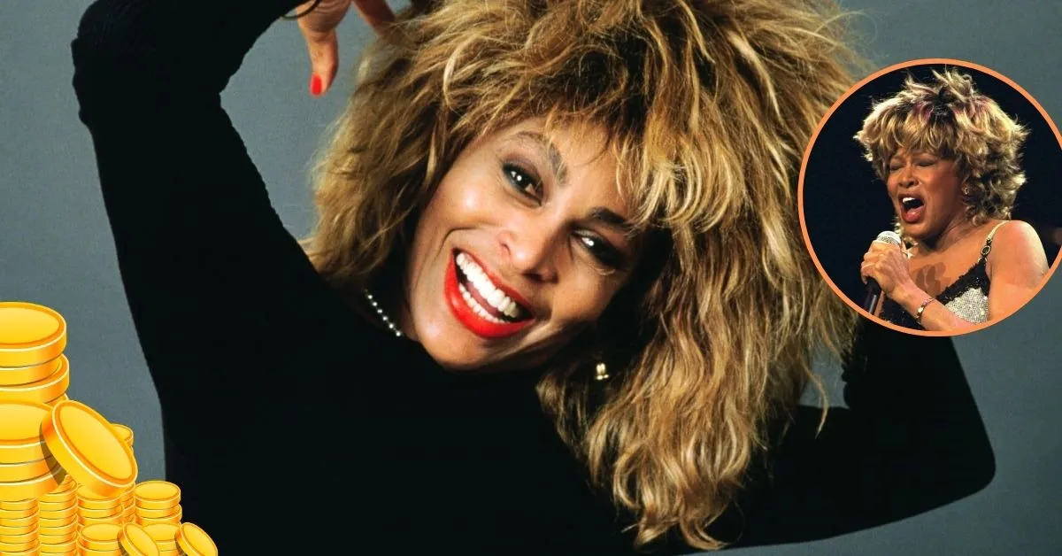 Tina Turner Net Worth 