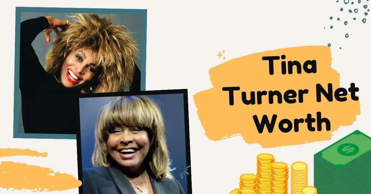 Tina Turner Net Worth