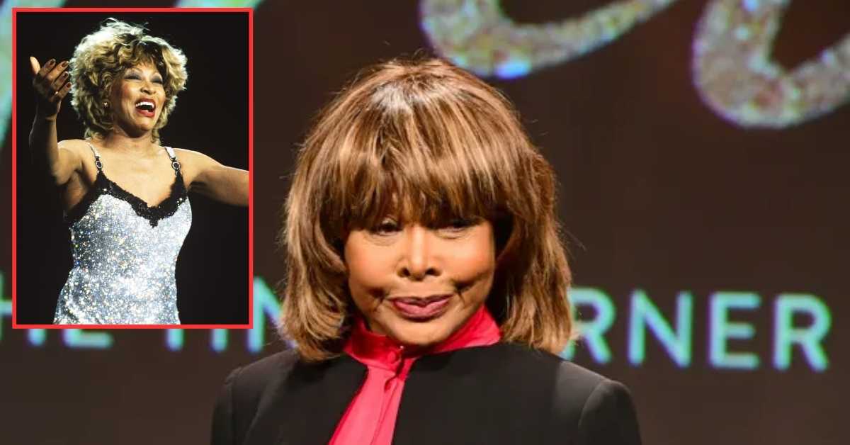 Tina Turner Plastic Surgery