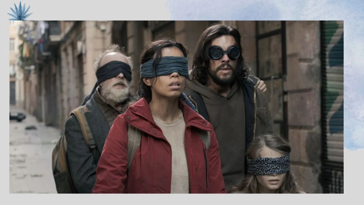 Bird Box Barcelona