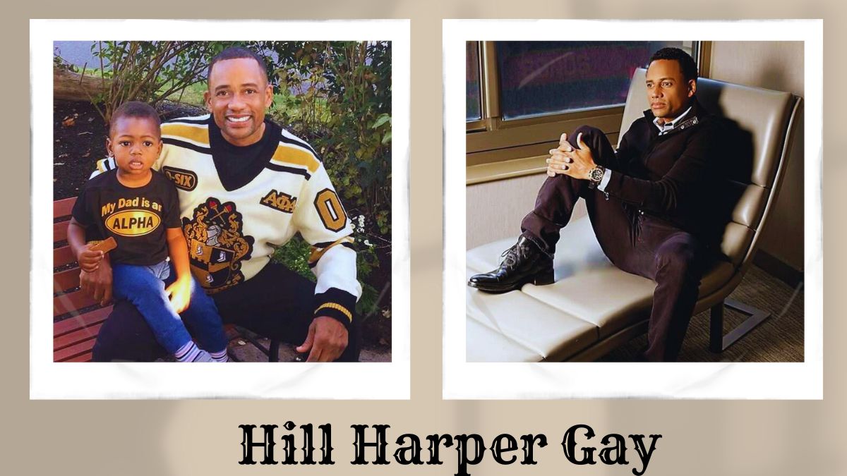 Hill Harper Gay