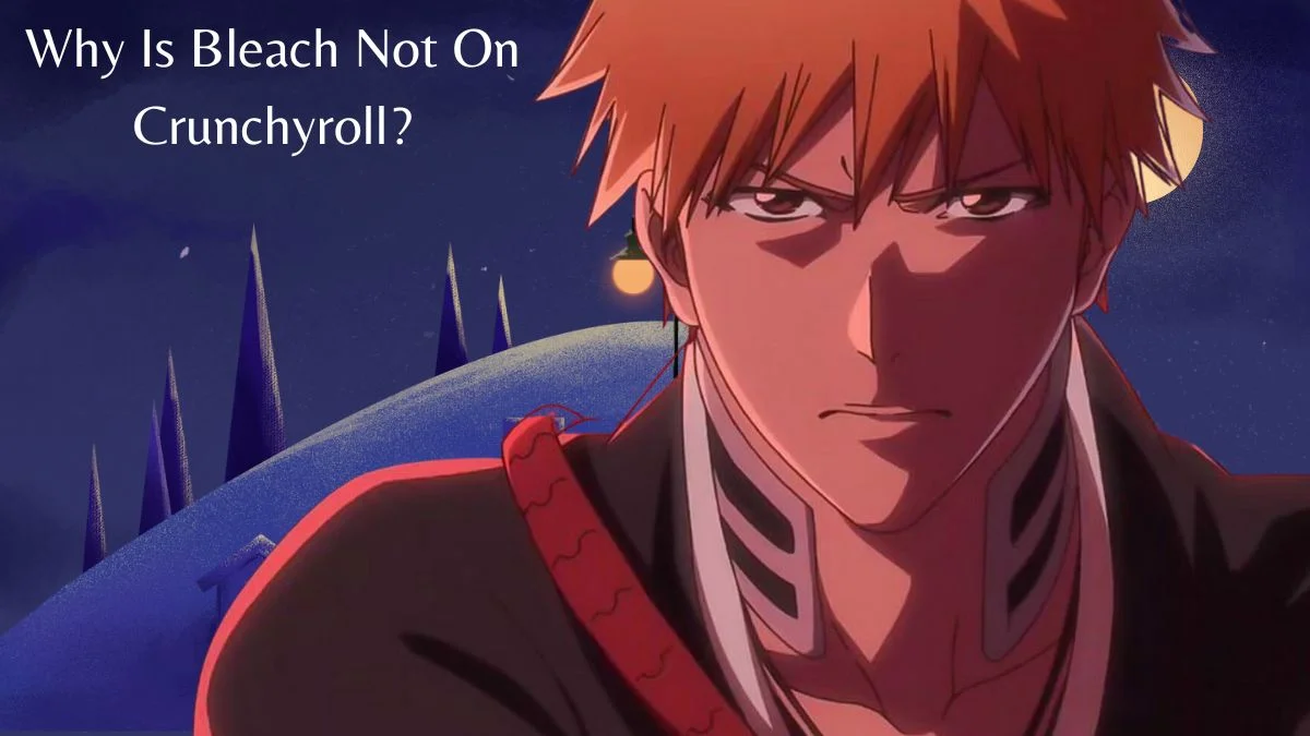 Why Is Bleach Not On Crunchyroll