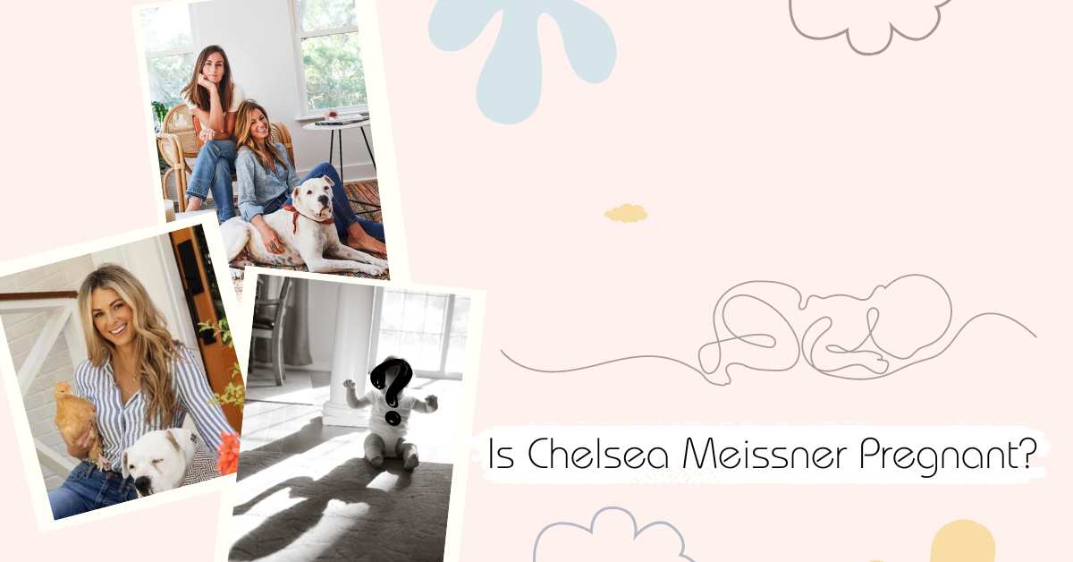 Is Chelsea Meissner Pregnant? Find Out Who The Father Of Her Baby