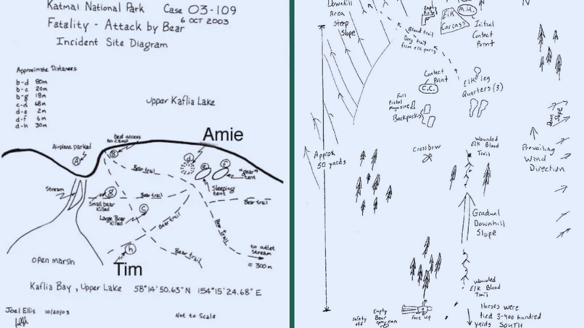 Grizzly Man & His Girlfriend Remains Findings Report