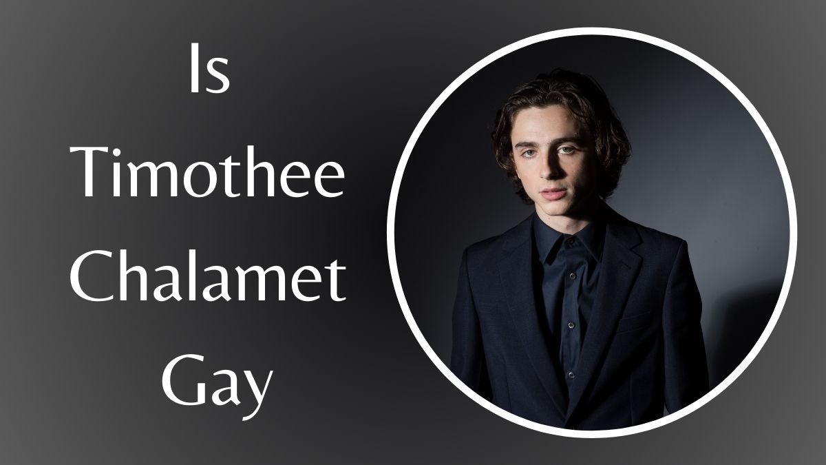 Is Timothee Chalamet Gay