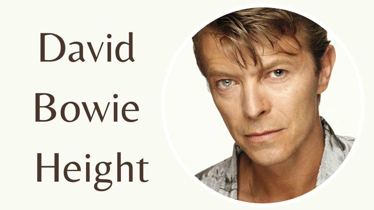 David Bowie Height